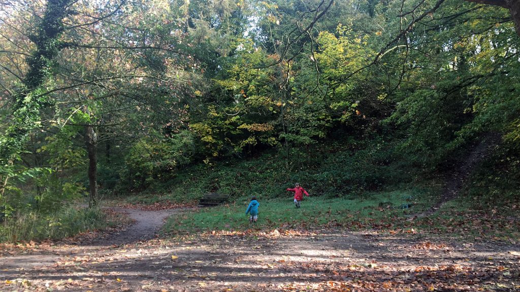 Forêt de Meudon avec les enfants - La Revue Vertu