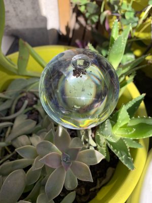 Les globes d’irrigation ou bulles d’arrosage - La Revue Vertu
