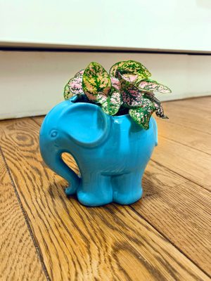 Cache-pot éléphant bleu - La Revue Vertu