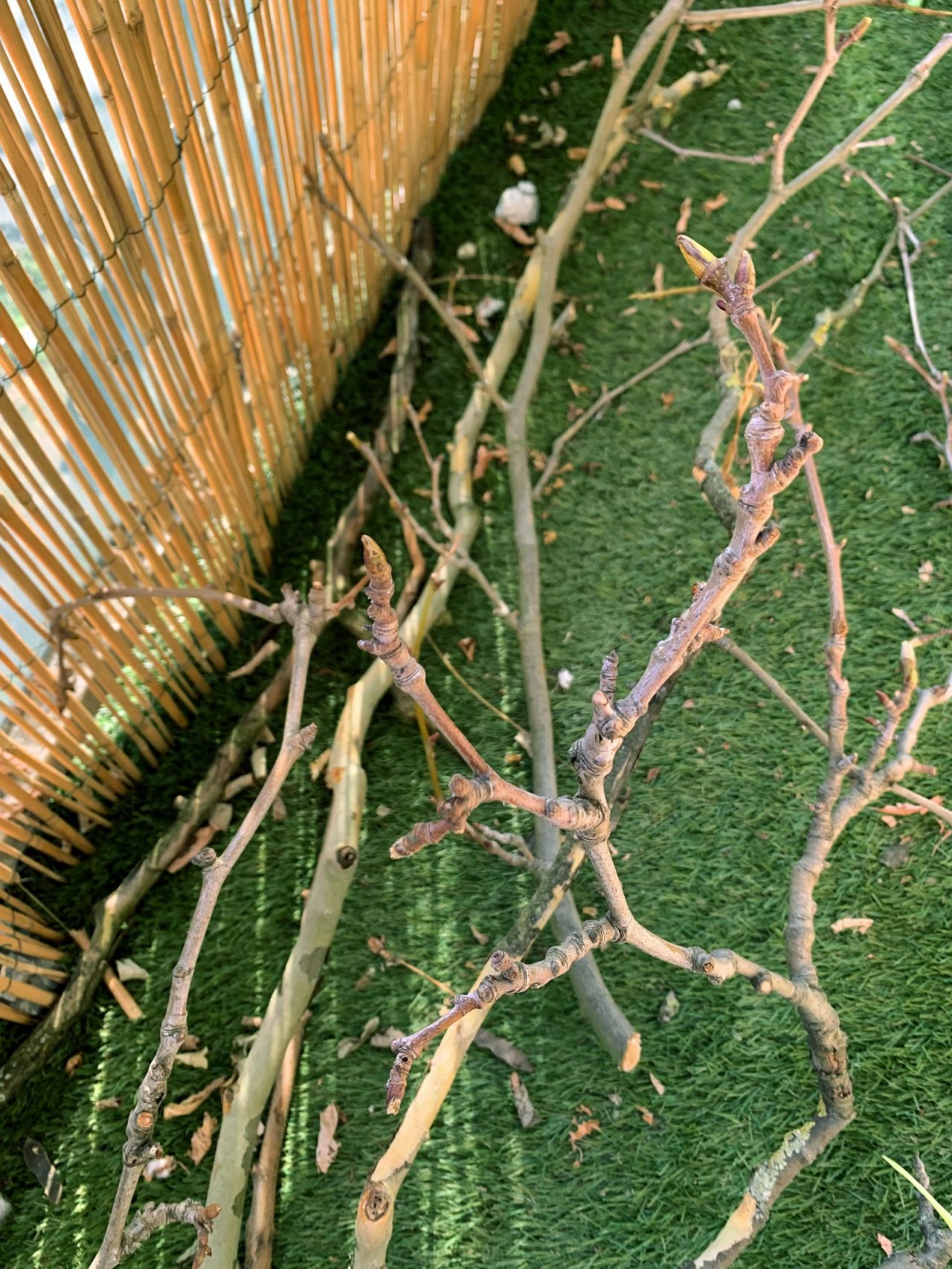 Suspensions Pour Plantes En Macramé - Lot De 2 Modèles Bohème - Corde Coton - Pour Intérieur Et Extérieur (balcon, Salon)